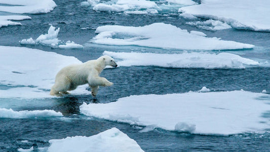 Climate Anxiety in Teens