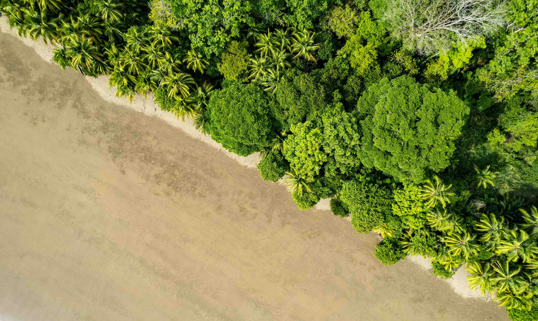 Summertime sustainability