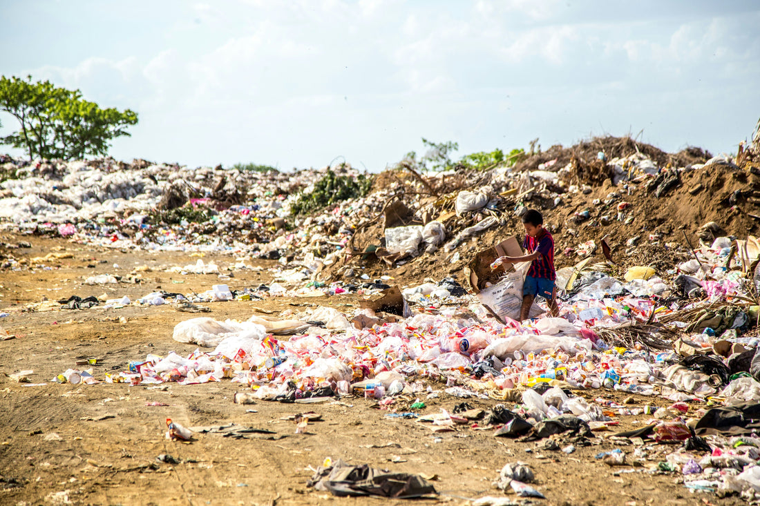 Sustainability In Fashion