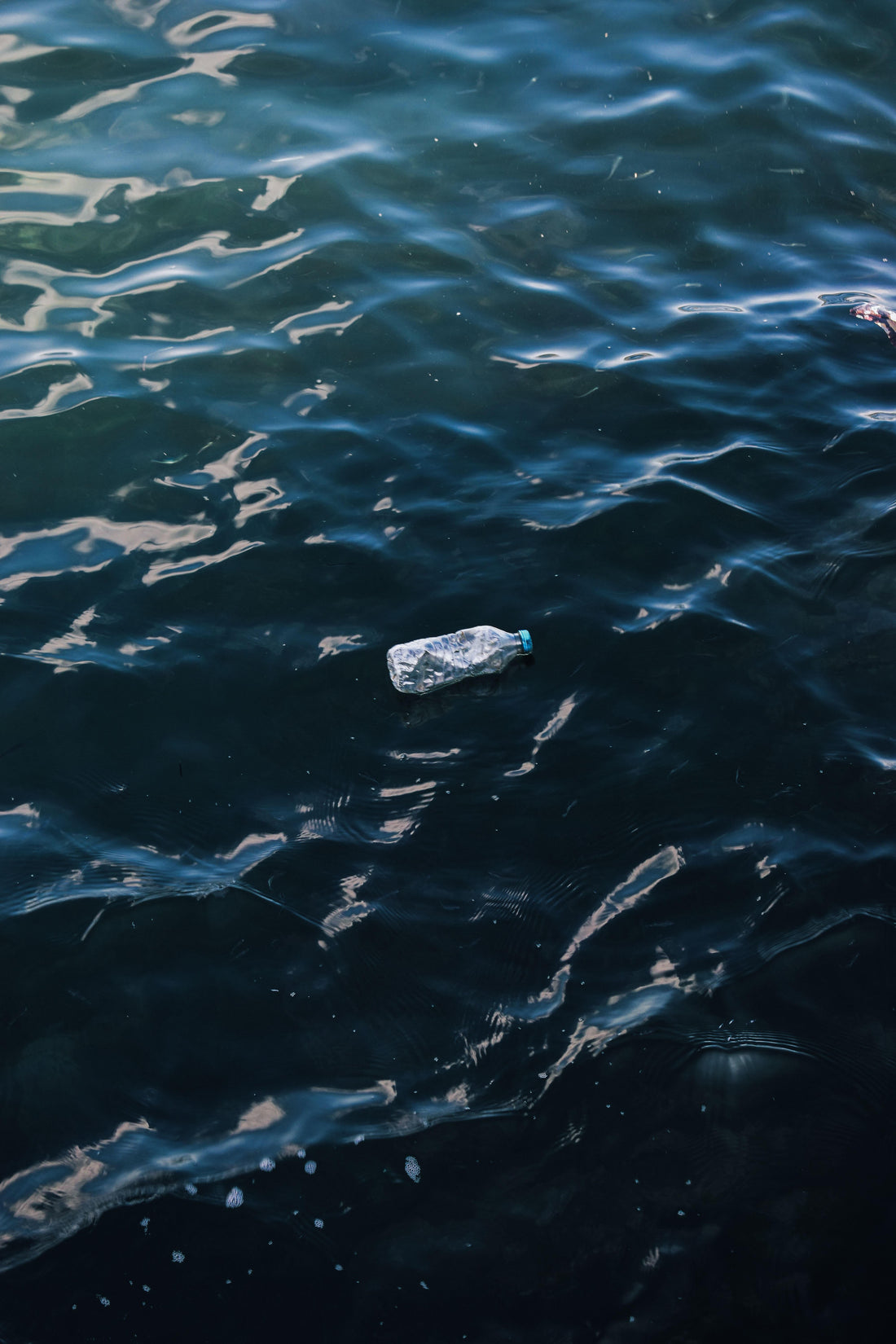 Plastic Free Foundation
