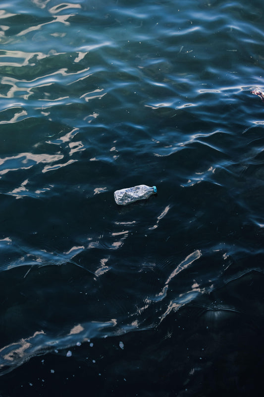 Plastic Free Foundation